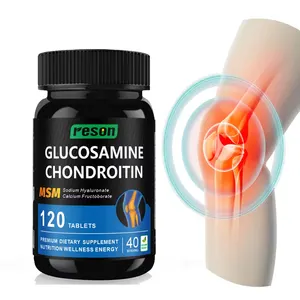 OEM-Präparate Pillen Gesundheitspflege Glukosamin Chondroitin-Tablette Glukosamin Chondroitin msm