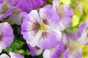 Canasta Colgante <span class=keywords><strong>de</strong></span> Flores Artificiales Premium al por Mayor, Ecológica, Resistente al Fuego, sin Olor, Resistente a los Rayos UV, <span class=keywords><strong>Planta</strong></span> Decorativa - Product Image 4