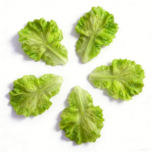 Lifelike Plastic Eco-Friendly Artificial Lettuce Leaves Realistic French Butter Prop Iceberg Lettuce BBQ Restaurant Food Display - Product Image 4