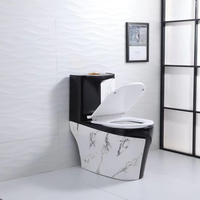 WC monobloc en céramique coloré, article sanitaire en promotion