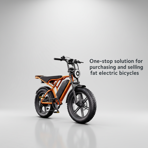Factory Direct OEM ODM Accepted the Electric Mountain Bike with Hydraulic Disc Brakes and Rear Suspension Fat Tire Electric Bike - Product Image 2