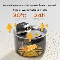 Fontaine à eau pour chat intelligente à grande capacité, en acier inoxydable, transparente, sans fil, avec filtration automatique par circulation