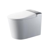 WC intelligent hygiénique PLMR NJ-911-C avec stérilisation UVC, désodorisant plasma, bidet intelligent pour les toilettes des centres de santé