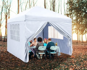 Carpa Plegable con Paredes Laterales de Aluminio 6x6, Impermeable/Carpa Desplegable 10x10 para Jardín, Carpas de Jardín - Product Image 6