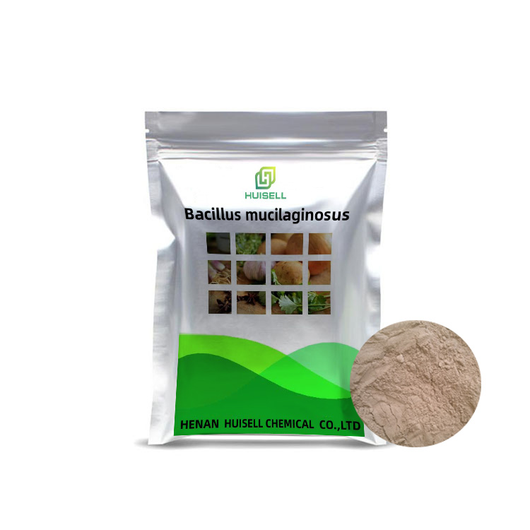 Распродажа, био-удобрение 5 биллион cfu/g bacillus mucilaginosus для сельского хозяйства