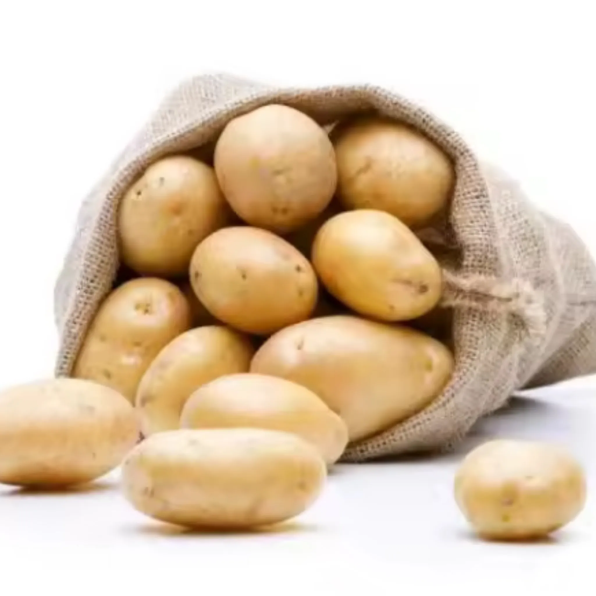 도매 핫셀 감자 새로운 작물 감자 신선한 유기농 감자 칩 판매용