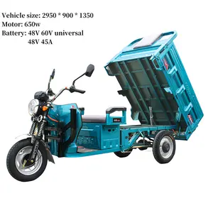 Chinese Factory 500W Adult Tricycle Freight Electric Scooter China Mobile Tricycle Electric Bicycle 200kg Heavy-duty Tricycle