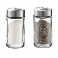 Bocaux à épices miniatures en verre avec couvercle en acier inoxydable, récipients à condiments, flacons à assaisonnements, salière et poivrière