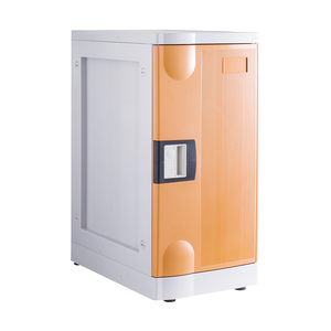 Casillero de Plástico ABS Moderno y Resistente para Clubes Deportivos, de Alta Gama, con Múltiples Niveles, Sin Pernos, de Fácil Montaje, Modelo SP3 - Product Image 1