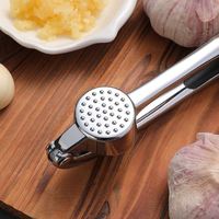 Ensemble de presse-ail de qualité supérieure pour la cuisine, résistant à la rouille, compatible lave-vaisselle, outil professionnel pour hacher l'ail, éplucheur d'ail facile à utiliser
