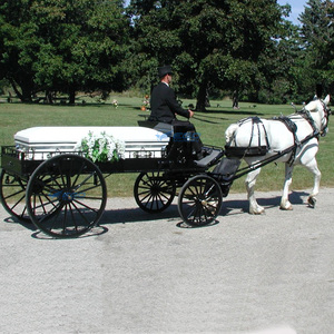 Carro Fúnebre de Estilo Europeo, Vehículo Fúnebre Clásico, Especialmente Diseñado para Transportar Ataúdes - Product Image 2