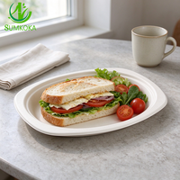 Assiette ovale jetable écologique SUMKOKA 230 mm en bagasse de canne à sucre, plateau de dîner biodégradable, assiette imperméable