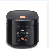 Autocuiseur multifonctionnel électrique Silver Crest pour la maison, cuiseur à riz antiadhésif