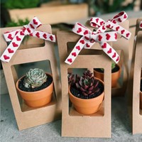 Boîtes d'emballage en papier kraft pour plantes succulentes en pot, bouquet de fleurs fraîches, vente chaude