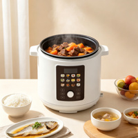 Cuisinière à pression électrique 6-8-10-12L, boîtier en acier inoxydable, commande numérique programmable, écran tactile couleur