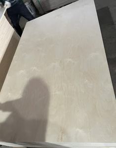 <span class=keywords><strong>Contreplaqué</strong></span> marin phénolique imperméable de WBP 15mm <span class=keywords><strong>contreplaqué</strong></span> de bouleau d'eucalyptus de feuillus de bois dur <span class=keywords><strong>pour</strong></span> la construction navale de <span class=keywords><strong>plancher</strong></span> de camion ou de conteneur - Product Image 5