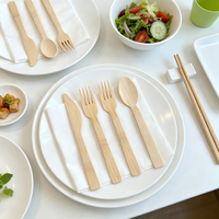 Ensemble de couverts jetables écologiques en bambou tendance 2026 pour pique-nique, barbecue et camping en extérieur