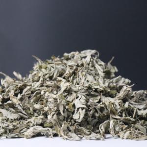 Nhà Máy Bán buôn khô Mugwort lá tươi cây ngải cho tinh dầu khai thác nguyên liệu cho sản phẩm chăm sóc da - Product Image 2