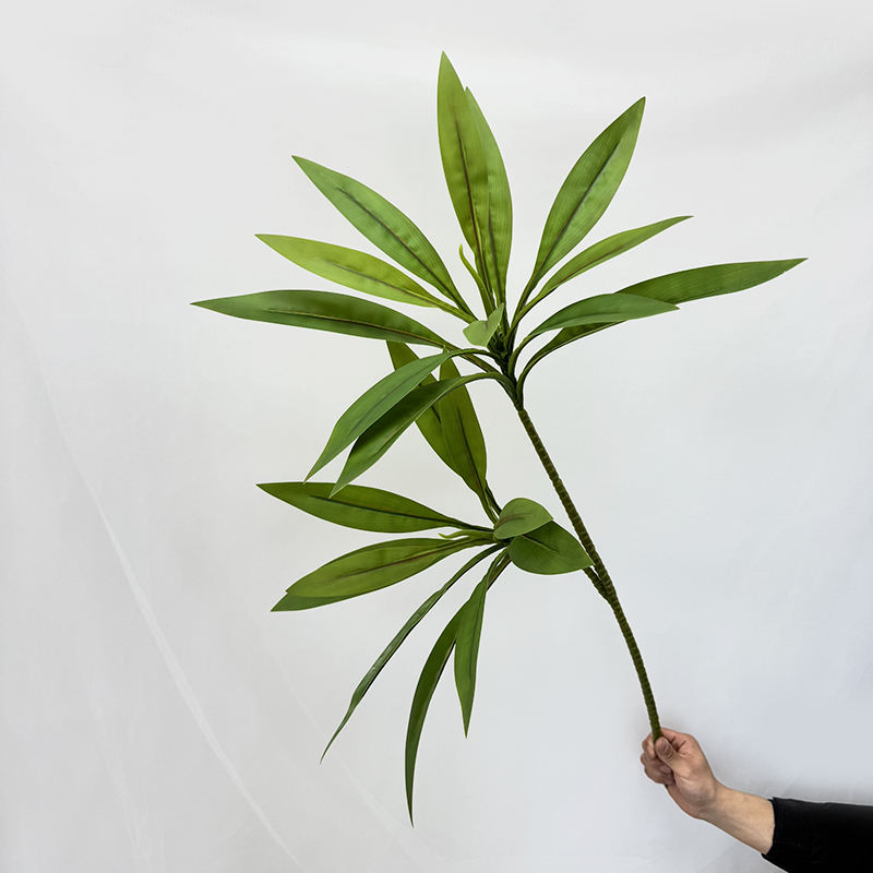 สีเขียว