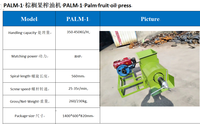 Miniatuur palmoliepersmachine, kleine schaal palmolieproductiemachine, palmoliepers productie