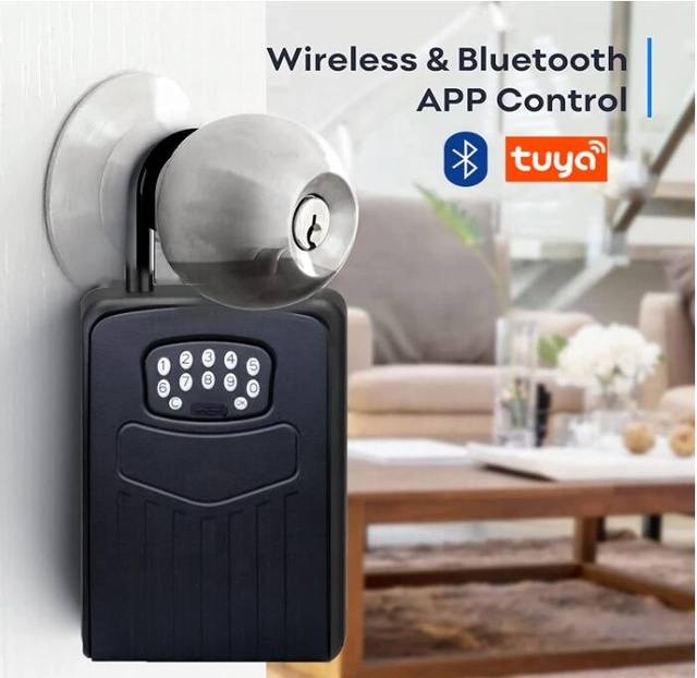 Fast Delivery Wall Mounted Portable Safe Storage Hide Secure Security Lock Safe Digital Code App Control Smart Key Box