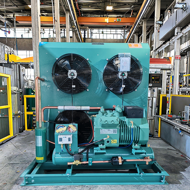 Factory 3hp 5hp 6hp 10hp 20hp Germany Air Cooled Compressor Condensing Unit for Cooling System Refrigeration