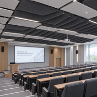 Panneau Acoustique en Feutre PET Écologique Certifié BSCI ISO pour Bureau, Absorption Sonore, Décoration de Plafond, Solutions de Projet