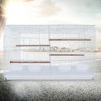Fournitures pour animaux de compagnie en gros - Grande cage en fil métallique pour perroquet blanc - Cage à cailles - Aucun angle mort pour observer les animaux