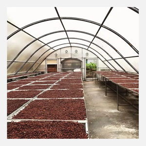 Bandeja de secado de alimentos agrícolas secadores solares de invernadero para café - Product Image 2