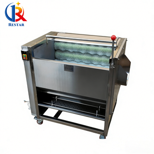 Machine de lavage et de pelage à petite échelle pour usage commercial de gingembre frais, lotus, patates douces, carottes, châtaignes d'eau, pommes de terre, ignames et taro - Product Image 3