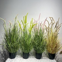 Bunga Delphinium Rumput Ekor Rubah Buatan Multi Warna Tahan Lama untuk Dekorasi Ruang Tamu Rumah Tahan UV Tahan Api