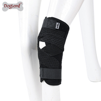 Attelle de protection pour pattes de chien OEM, écologique et luxueuse, avec soutien pour le genou et la cheville arrière du chien et sangles de sécurité