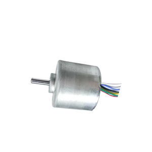 Velocidade ajustável 12V/24V Brushless <span class=keywords><strong>DC</strong></span> Motors Long-vida & qualidade regulando para o uso do barco direto do fabricante - Product Image 2