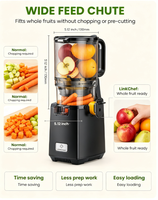 Koude Pers Sapcentrifuge voor Thuisgebruik, 130mm Diameter, 1.8L Capaciteit, voor Hele Fruit & Groenten, 300W, Automatische Masticatie