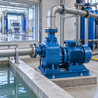 Pompa Air Industri Besi Cor Pompa Sentrifugal Listrik Self Priming dengan Motor Tembaga untuk Drainase Irigasi Pengolahan Air.