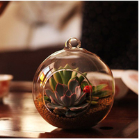 Vase en verre pour décoration de terrarium de fleurs et plantes, fabrication HDW, vente en gros à bas prix, pour la décoration de la maison