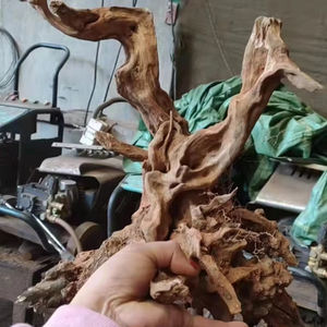 도매 장식 거미 나무 장식 물고기 탱크 장식 자연 수족관 드리프트 나무 - Product Image 3