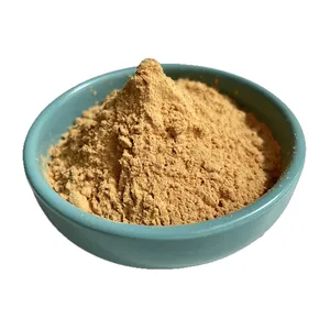 High Quality Tamarind Extract Powder 10:1 Tamarind Seed Extract Tamarindus indica Extract