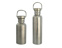 Bouteille d'eau de voyage Silverant Titanium 25oz/750ml, isolée sous vide, anti-fuite, sans BPA, écologique, résistante à l'ébullition, pour l'extérieur