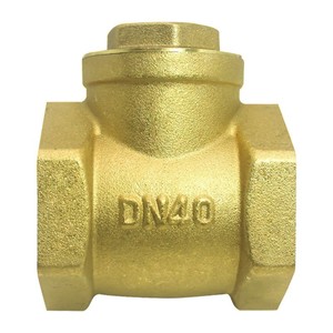 Clapet anti-retour Senfm DN40, filetage britannique, pour tuyau d'eau, structure à une seule palette - Product Image 1