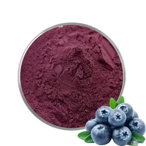 Giá bán buôn tự nhiên hữu cơ chất lượng cao anthocyanins 1%-25% Blueberry chiết xuất bột