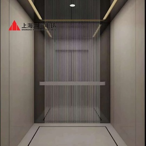 Ascensor de Pasajeros Mitsubishi para 8 Personas, Diseño Contemporáneo en Acero Inoxidable, Residencial, 630 kg, Elevador Hidráulico Marca HAOKUN, Garantía de 3 Años - Product Image 6