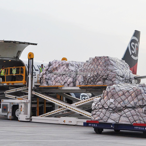 20ft 40ft FCL Container Tür-zu-Tür Logistikdienstleister Mit Einkaufsagent Günstige Versandkosten Seefracht-Agent in China - Product Image 1