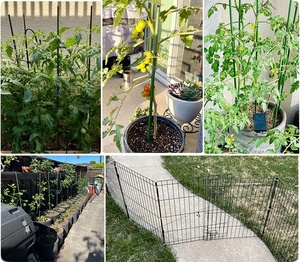 Estacas de Fibra de Vidrio para Plantas/Agricultura, Estacas para Tomates, Estacas de Soporte para Plantas, Estacas de Jardín - Product Image 4