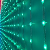 Guirlandes lumineuses LED programmables intelligentes à pixels adressables, étanches IP65, pour extérieur, contrôlables par application, pour fêtes