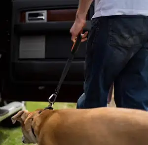 เข็มขัดนิรภัยตะขอคาราไบเนอร์อลูมิเนียมเข็มขัดนิรภัยสำหรับสุนัขฮาร์ดแวร์สำหรับสัตว์เลี้ยงที่ทนทาน
