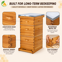 Ruche Langstroth complète à 3 couches, 10 cadres, en bois de sapin, boîte à abeilles, équipement d'apiculture, ensemble complet