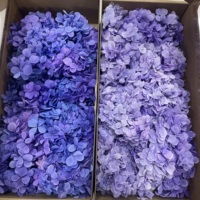 100g de pétales d'hortensia séchés longue durée, naturels, préservés, en bois, pour Noël et le Nouvel An chinois