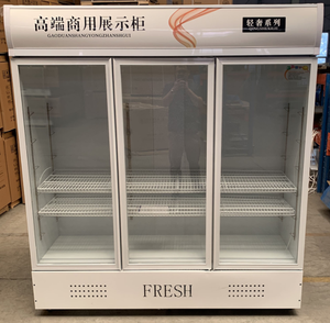 568L Drink Beverage Display Glass Two Doors <strong>Upright</strong> Display Refrigerators &amp; <strong>Freezers</strong> Cooler <strong>Freezer</strong> - Product Image 6