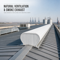 Ventilateur de toit pour lucarne, ventilateur de gouttière, structure en acier profilé pour usine, entrepôt, atelier